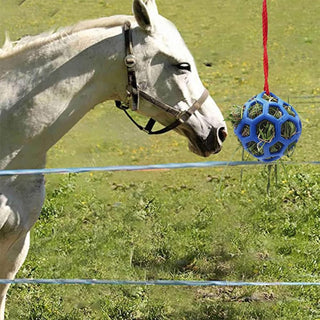 TOMVAES 2 Pack Horse Treat Ball Hay Feeder Toy,Horse Ball Feeder,Goat Feeder Toy Feeder Ball,Hanging Feeding Toy with Strong Nylon Rope for Horse,Goat