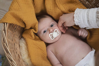 Bibs Pacifier Size 1 - Baby 0-6M (2pcs) - Ivory/Blush