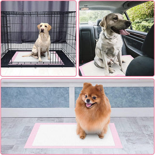 Mumoo Bear Pet Training Pads Super Absorbent Puppy Pads Anti Slip Toilet Pee Mat, Leak Proof & Quick Dry Pet Pads for Dogs Cats Rabbits Pets (40 PACK-60 * 60CM)