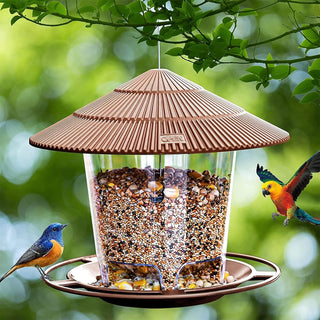 THE WHITE SHOP Bird Feeders for Outside, Bird Feeder, Wild Bird Seed for Outside Feeders
