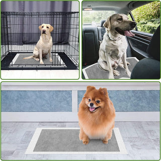 Mumoo Bear Pet Training Pads Super Absorbent Puppy Pads Anti Slip Toilet Pee Mat, Leak Proof & Quick Dry Pet Pads for Dogs Cats Rabbits Pets (40 PACK-60 * 60CM)