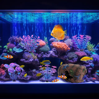 Bazayona Faeshoo Fish Tank Decoration Betta Fish Tank Decorations Accessories for Aquarium Tank, Starfish Barrel x 1pc, Aquatic Plants x 4pcs