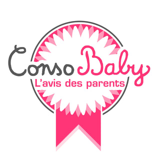 Munchkin Fresh Food Feeder, Fruit Feeder, Pacifier, Teether, Baby Teether, BPA Free Mesh Feeder for Infants, infant/baby, 6 months and above- Assorted