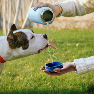 bottlebottle BOTTLE BOTTLE 32oz Insulated Water Bottle Stainless Steel Sport Water Bottle with Straw Dual-use Lid Design for Gym with Pill Box (green)