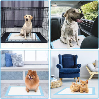 Mumoo Bear Pet Training Pads Super Absorbent Puppy Pads Anti Slip Toilet Pee Mat, Leak Proof & Quick Dry Pet Pads for Dogs Cats Rabbits Pets (40 PACK-60 * 60CM)