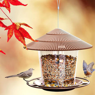 THE WHITE SHOP Bird Feeders for Outside, Bird Feeder, Wild Bird Seed for Outside Feeders