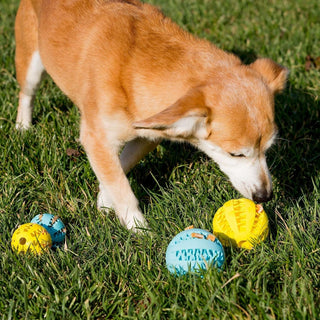 SKY-TOUCH Dog Toy Ball 7cm, Dog Tooth Cleaning Toy, Puppy Teething Chew Toy Balls, Ball Toys for Pet Tooth Cleaning Chewing Fetching Exercise Game IQ Training (Pack of 1)