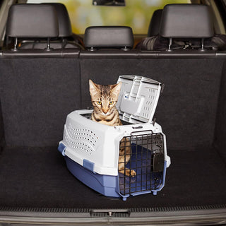 Amazon Basics Two-Door Top-Load Hard-Sided Pet Travel Carrier, 19-Inch