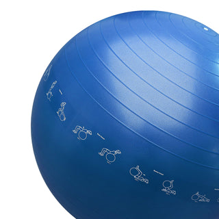 PROIRON Yoga Ball Anti-Burst Exercise Ball Chair with Quick Pump Slip Resistant Gym Ball Supports 500KG Balance Ball for Pilates Yoga Birthing Pregnancy Stability Gym Workout Training