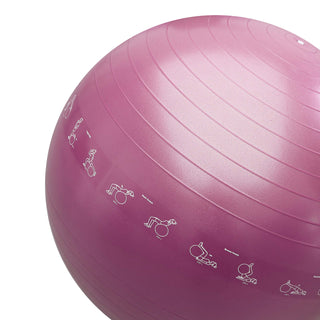 PROIRON Yoga Ball Anti-Burst Exercise Ball Chair with Quick Pump Slip Resistant Gym Ball Supports 500KG Balance Ball for Pilates Yoga Birthing Pregnancy Stability Gym Workout Training