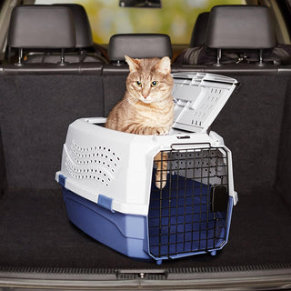 Amazon Basics Two-Door Top-Load Hard-Sided Pet Travel Carrier, 23-Inch
