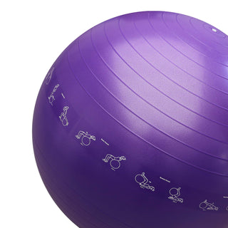 PROIRON Yoga Ball Anti-Burst Exercise Ball Chair with Quick Pump Slip Resistant Gym Ball Supports 500KG Balance Ball for Pilates Yoga Birthing Pregnancy Stability Gym Workout Training