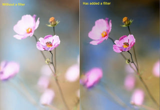 S-DLP-9936_8.jpg@0089a3471e7c43870346ed47c6a33697