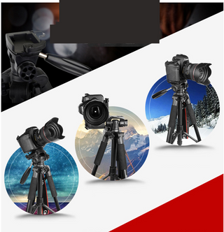 Tripod SLR Camera Live Mobile Phone Holder