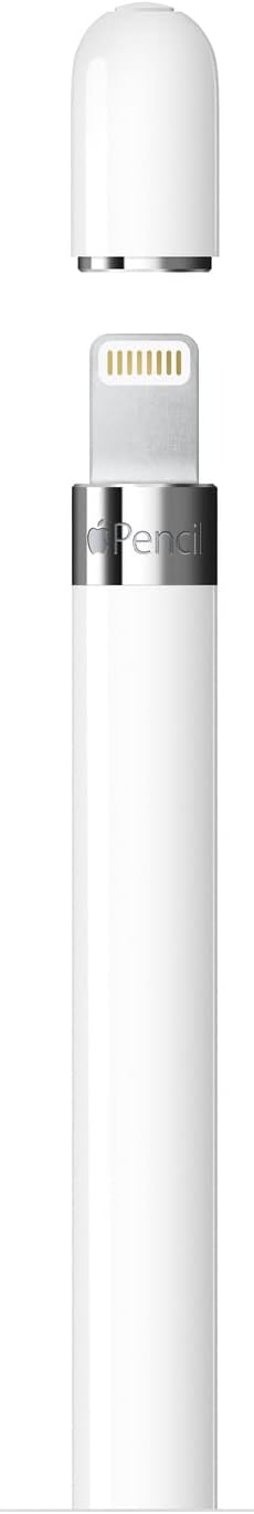 Apple Pencil (USB-C)